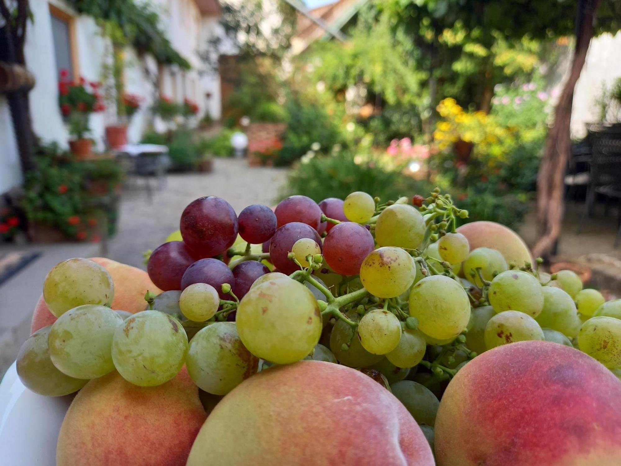 Winzerhof Fleischmann Otel Kleinhoflein Dış mekan fotoğraf